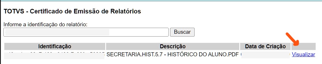 visualizar_totvs.jpg
